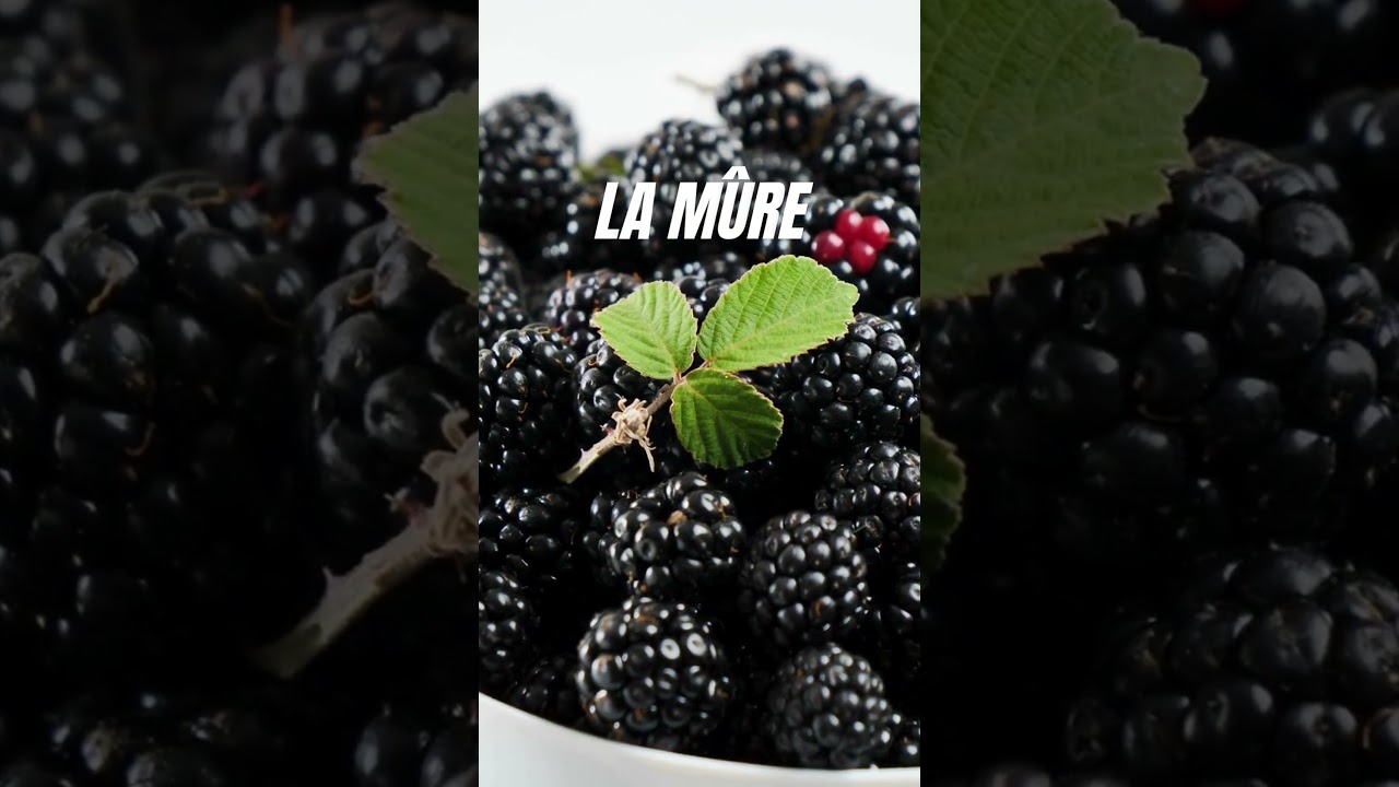 Top 10 fruits qui contiennent moins de sucre